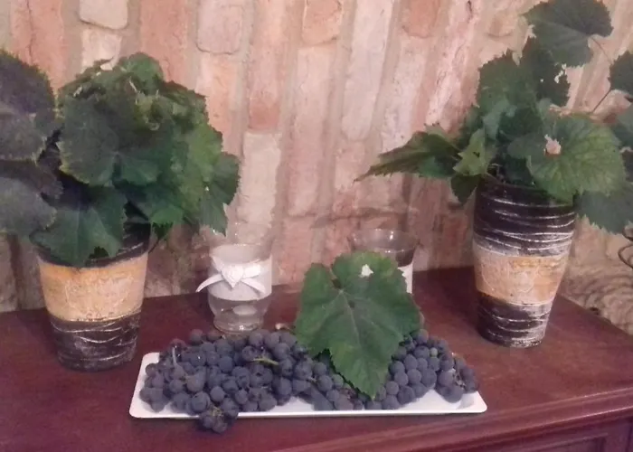 U Stepana